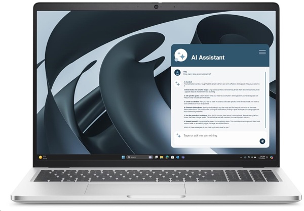 DELL Pro 16 Plus PB16255 Ryzen 5 220/16GB/512GB SSD/16" IPS FHD+/IR Cam & Mic/W11P/3Y ProSpt/stříbrná